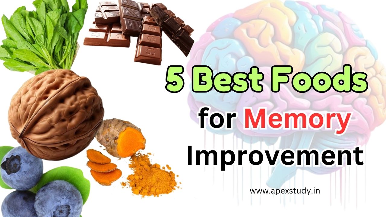 5 Best Foods for Memory Improvement to boost brain health and memory